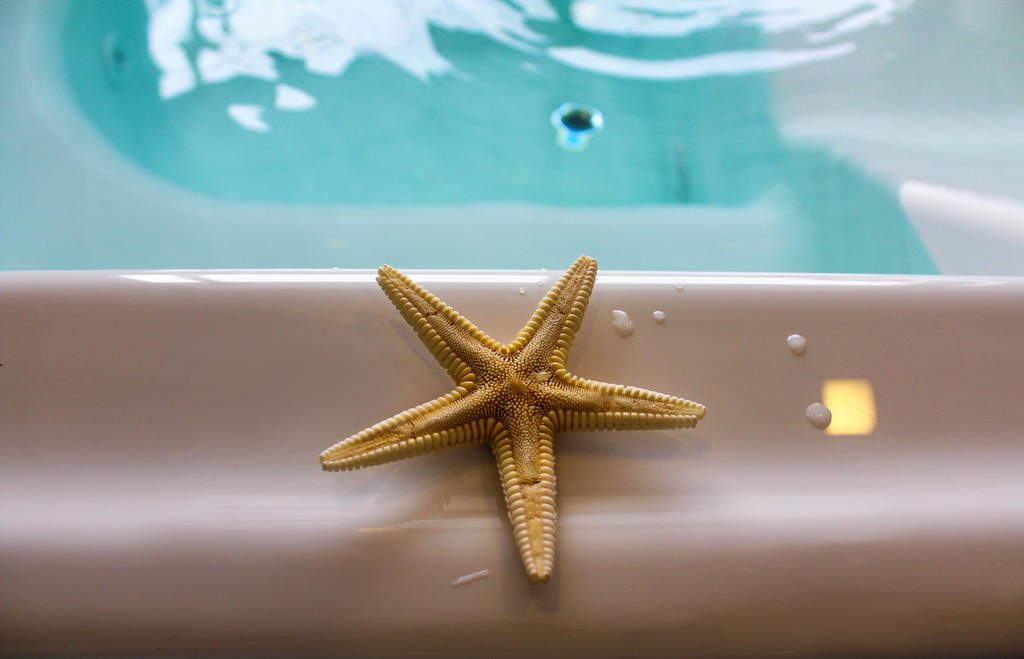 Dazzler By Wyndham Puerto Madryn Hotel Buitenkant foto